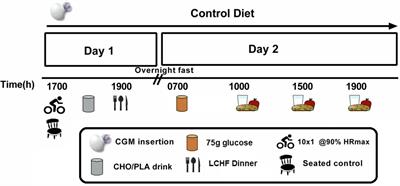 Carbohydrate-Energy Replacement Following High-Intensity Interval Exercise Blunts Next-Day Glycemic Control in Untrained Women